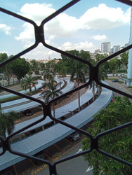 mandarin-gardens photo thumbnail #7